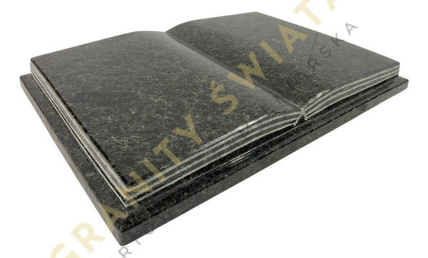 IMG_2162_clipped_rev_1.png
